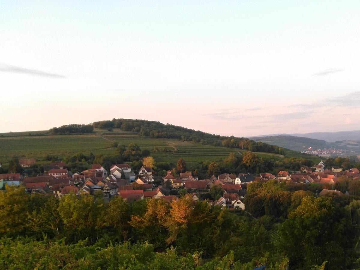 Вилла Le Repaire Des Hirondelles - Le Colombage Scharrachbergheim-Irmstett Экстерьер фото